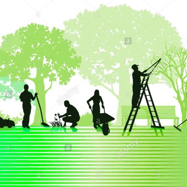 Garden Maintenance Work