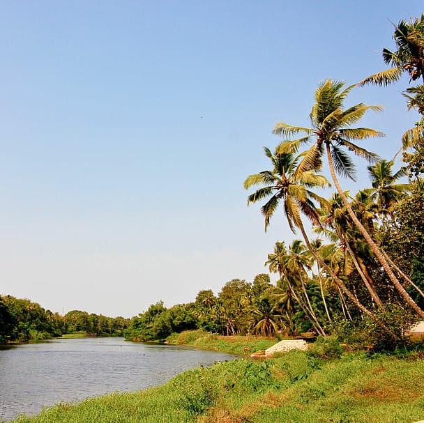 ✿✧??????♡?????????✧✿