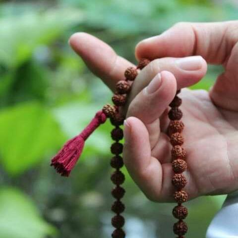🌲🌺🌺صراط المُستقیم🌺🌺🌲