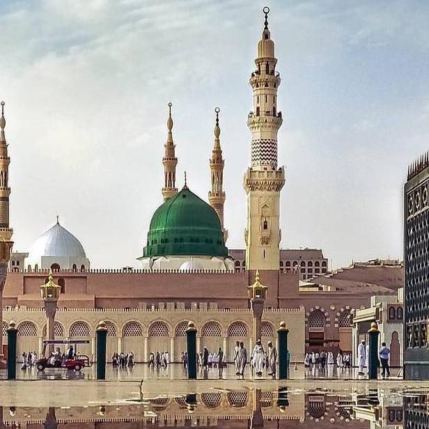 ???✨Words of Wisdom ?