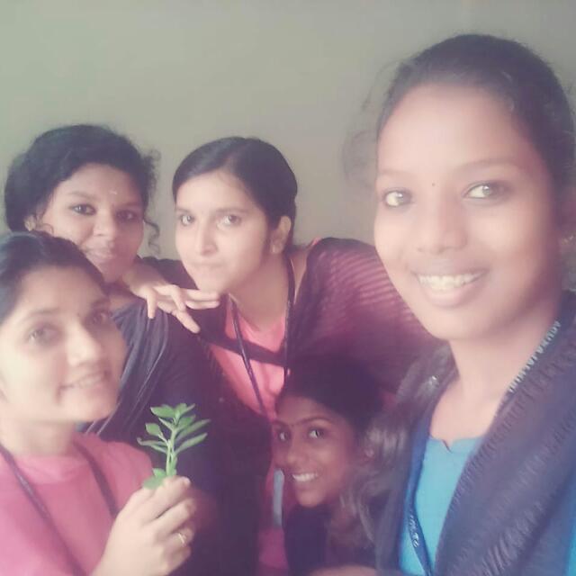 വെളളരി പ്രാവുകള്‍