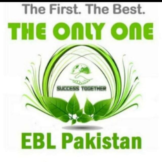 Network Markiting???