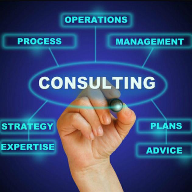 Management consultant