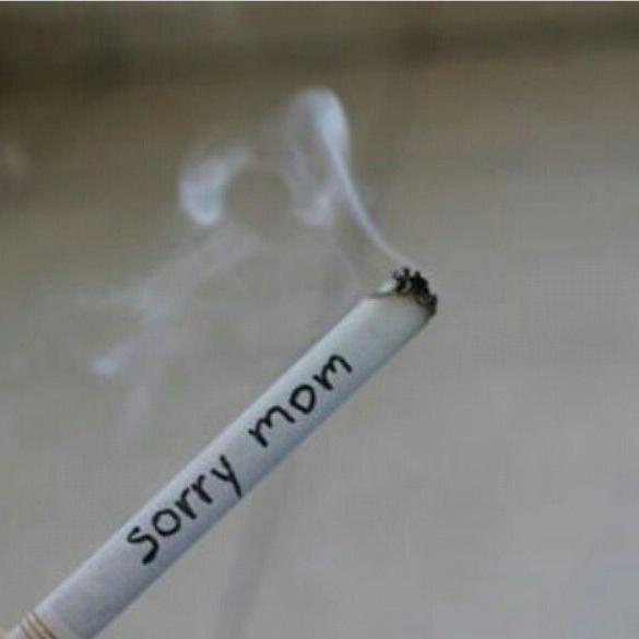 MR 'X  कमीनो का अड्डा ?