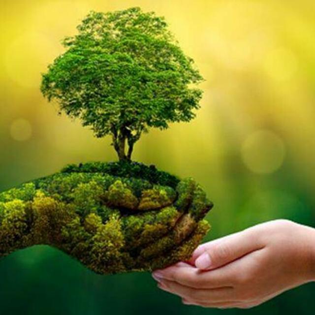 ?ᴀ ᴛᴇᴀᴍ ᴛʜᴀᴛ ʟᴏᴠᴇᴤ ɴᴀᴛᴜʀᴇ