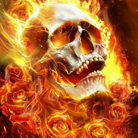 ༺❅❀HIJACK BY HDK❀❅༻