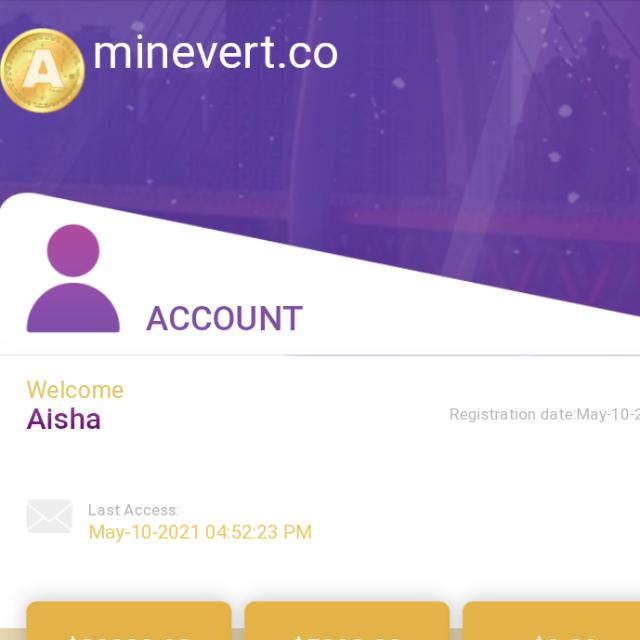 minevert company group