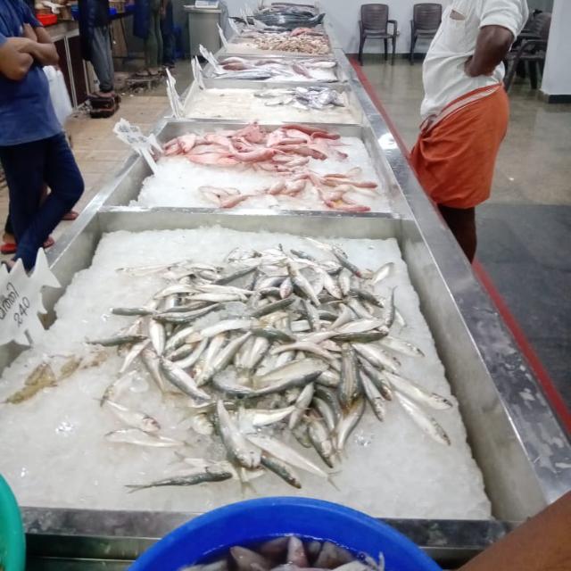 RSSJ  Fish Market bommidi