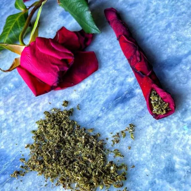 එක්සත් බේබදන්ගේ සංගමය ???