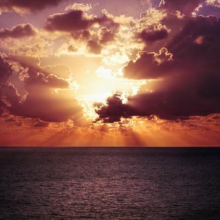 Information Group 5 ??️