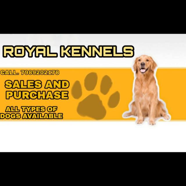 "ROYAL KENNELS"