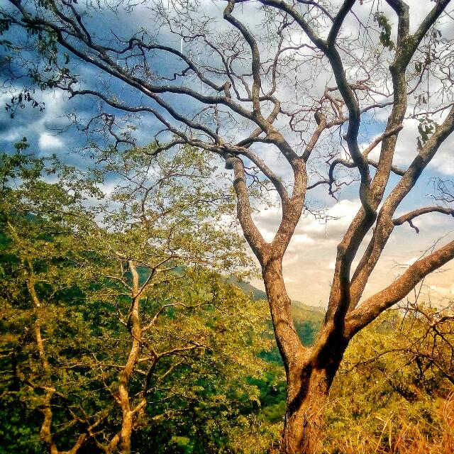 බදුල්ල දිස්ත්රික්කෙ සෙට්