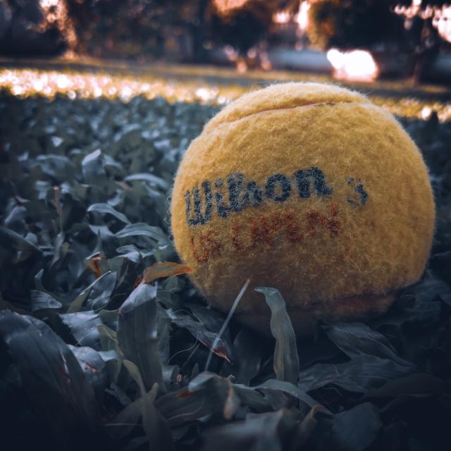 සෙල්ලම ??✨