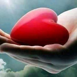 👫خوشگوار زندگی کے اصول🤝🏻
