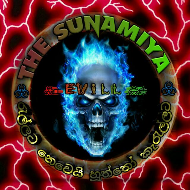 ▂▅▇ミ★ẗḧệ ṩüńäṃïÿä öḟfical