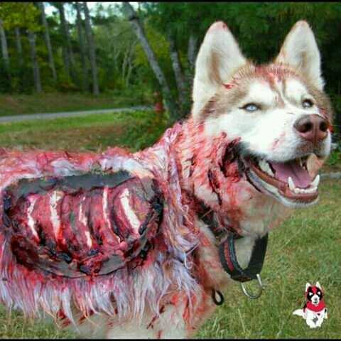 Prestigious GROUP ????