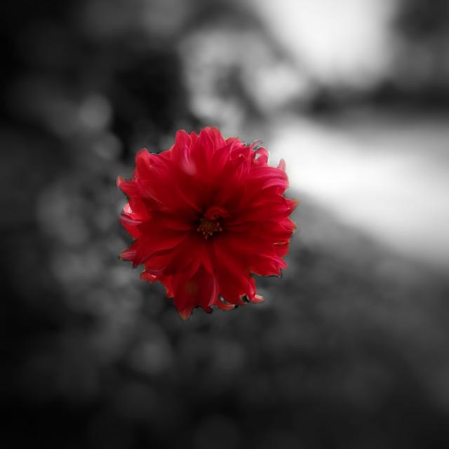 වුකන ගෲපක් මේක