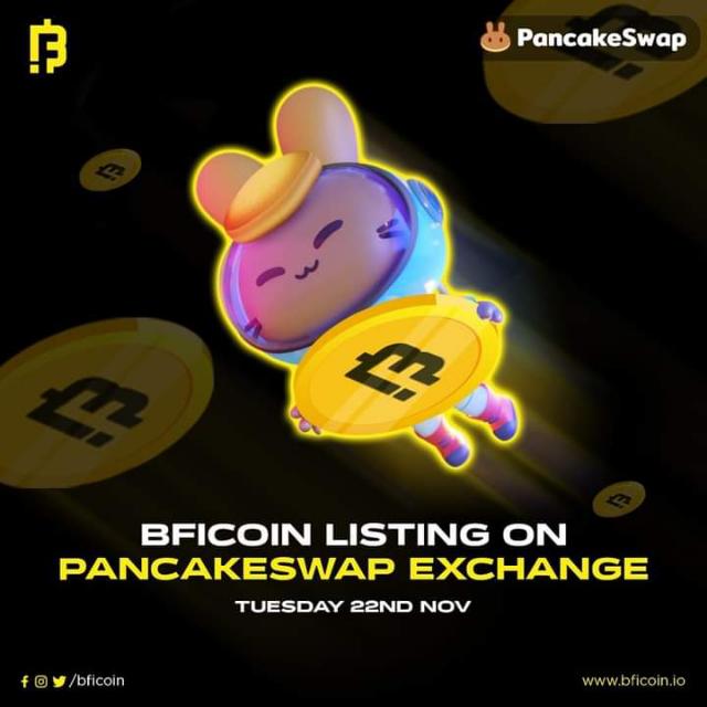 BFIC Newwork 0.25% daily