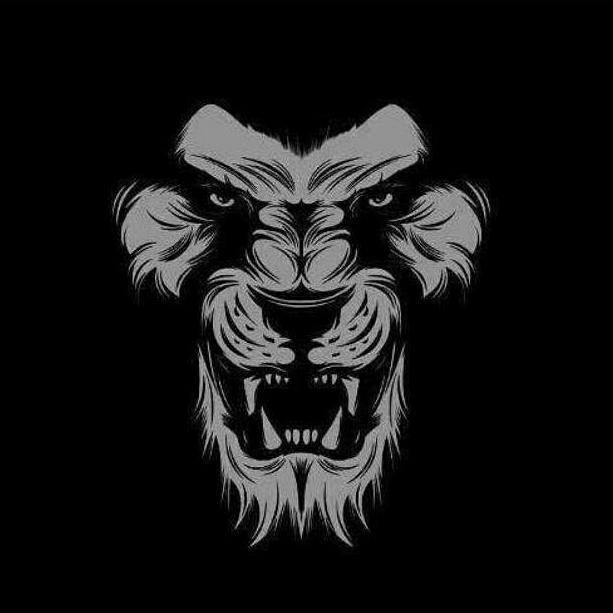 7991927237 any service please dm