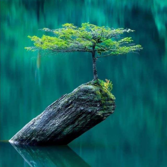 ⃝➤⃟̱̱̱̱̄̄̄̄ONLY CHAT GROUP✾ـٰٰٖٖٜ۬ـٰٰٰٖٖٖٜ۬ـٰٰٰٰٖٖٖٖٜ۬✾➣