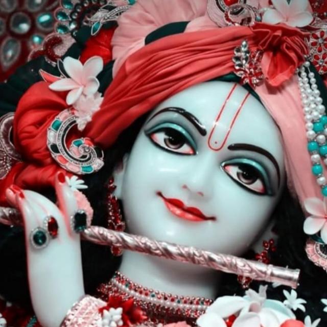 सिंगर Hari Ram Meena Geet