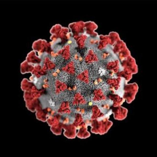Coronavirus update 