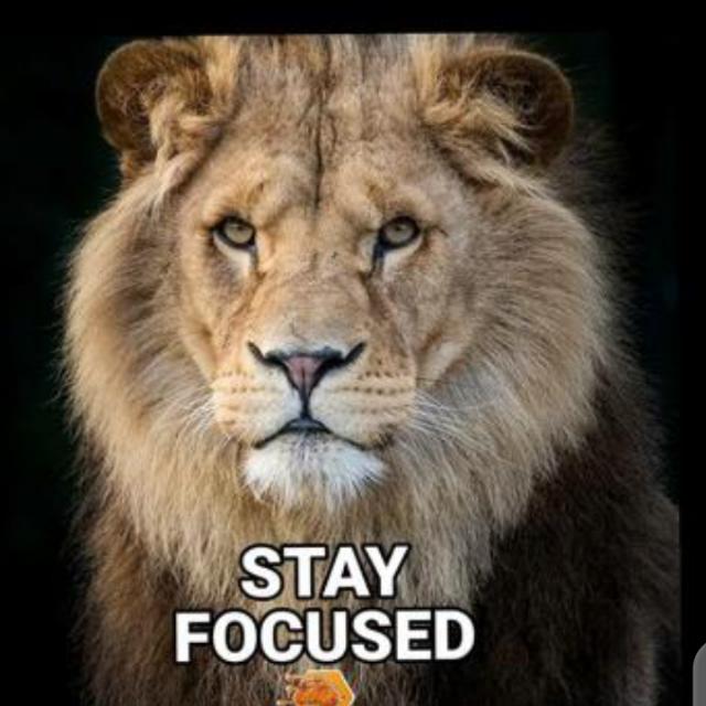 Lionshare official 2