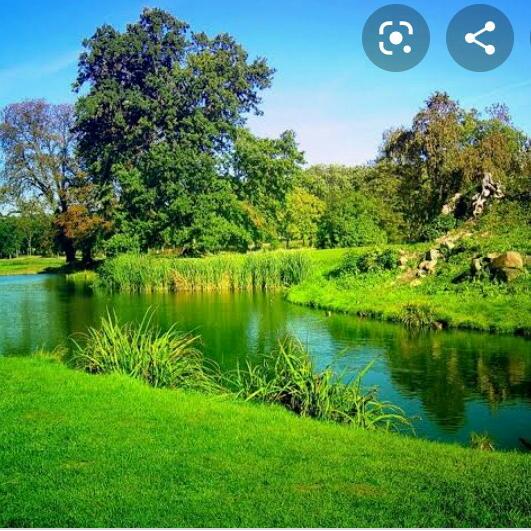 Inspirational scenes