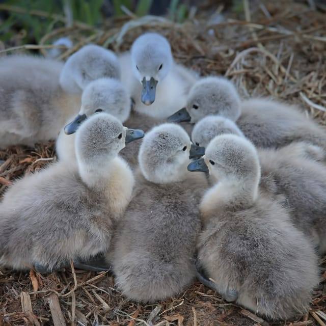 ?♂?♂Chill Mama chill?♂?♂