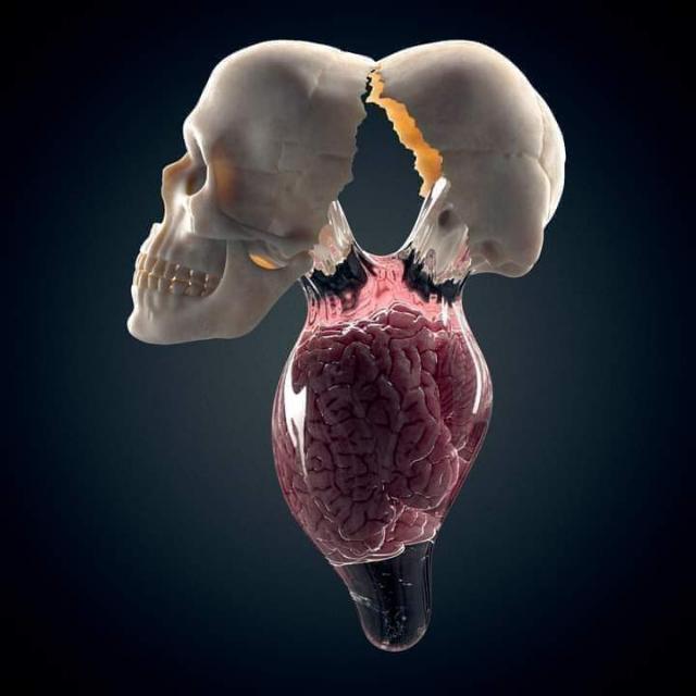 A1.Info..Entertainmet?