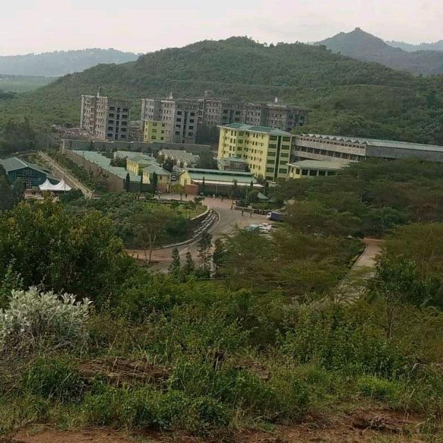 OFFICIAL ILLUMINATE 666??