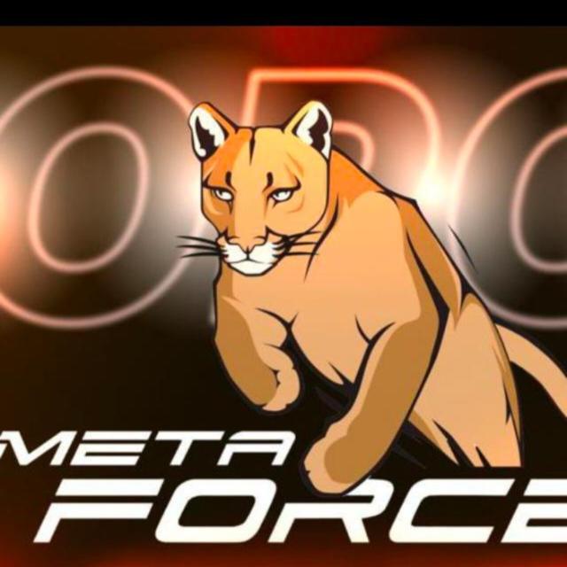 Meta Force Million Dollar