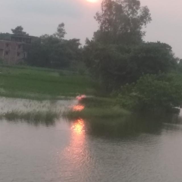 1k SUBS 220RS 6206737003