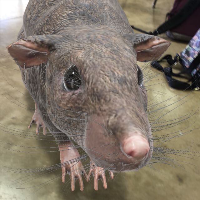 ⛱️ℝ???★᭄ꦿ᭄ꦿ