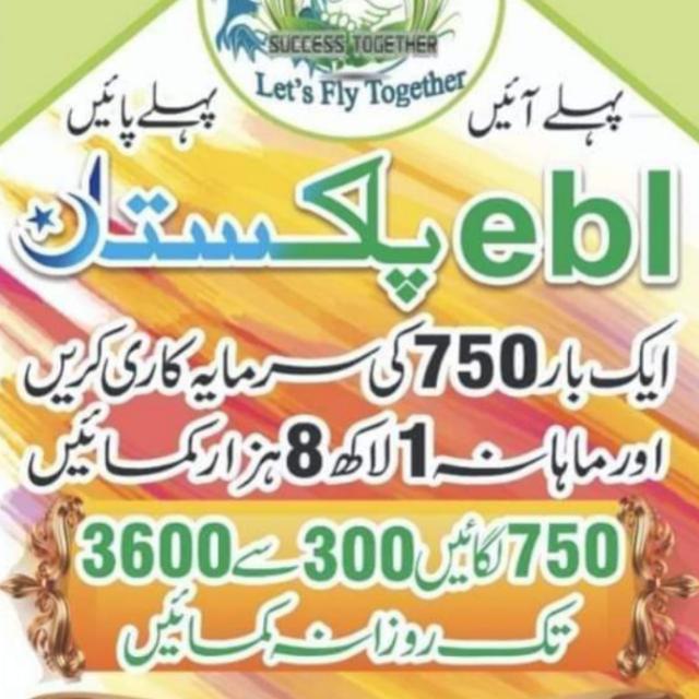 Daily Online Earning 