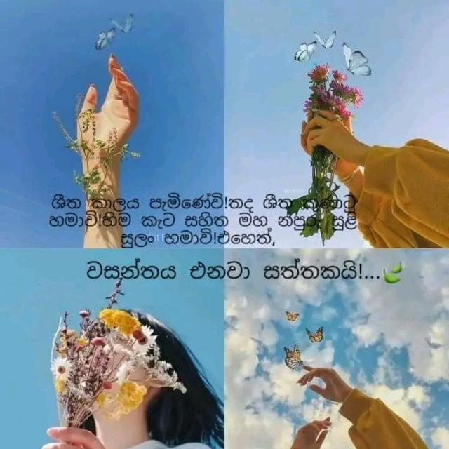 මිතුරු