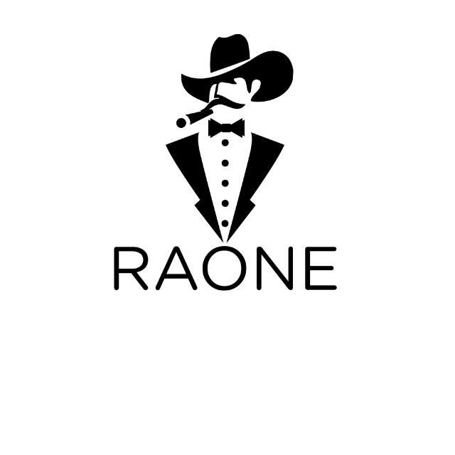 team_raone⚡