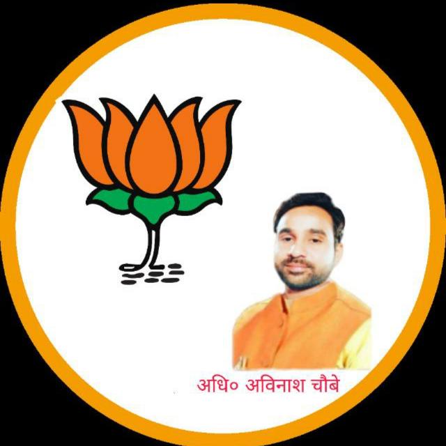 BJP4vns_official