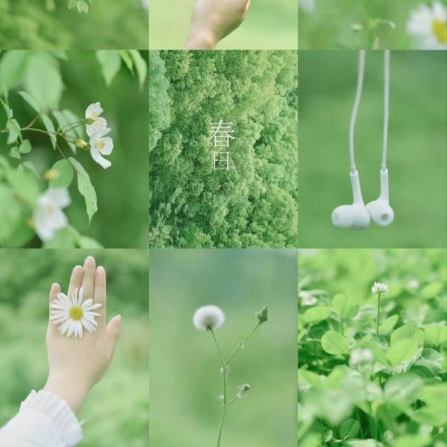 ~??????? ?????????|?01°