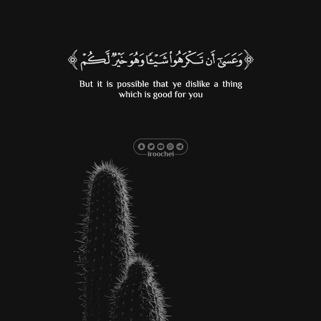 🌹🌹 قلوب المؤمنین 🌹🌹