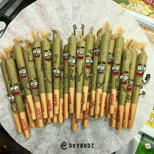 😎🤩ගගනගාමීයෝ🤫😇