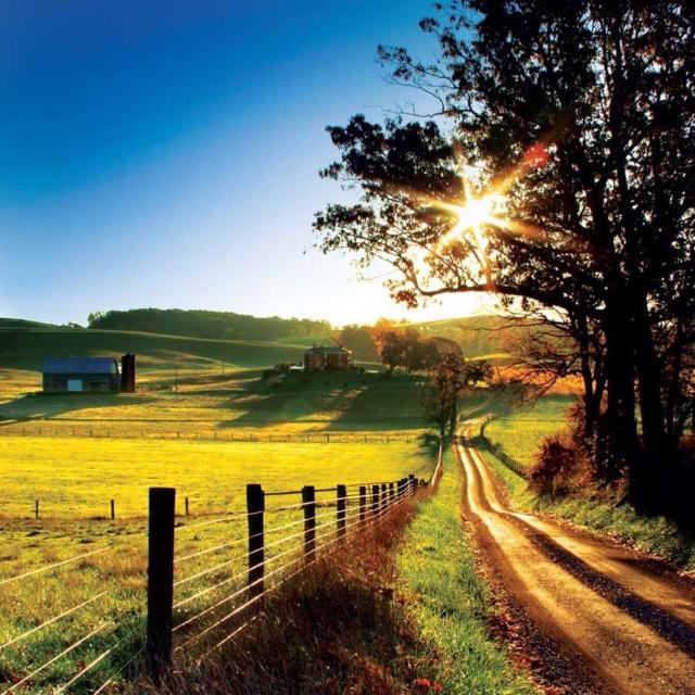 Dragonball fangroup &amp;game