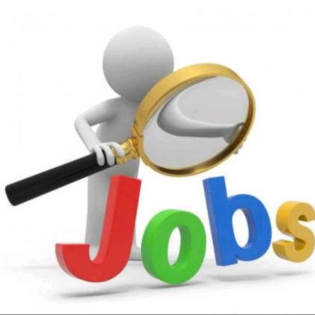 🛑 Career @ Job Info 🛑