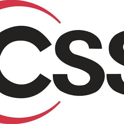 CSS and STYLE
