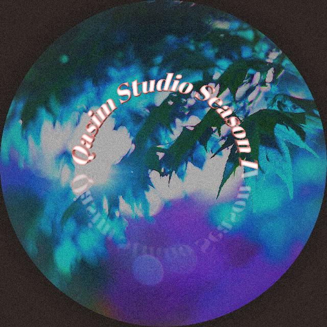 Qasim studio season 1??