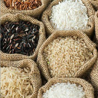 நோயற்ற வாழ்வு