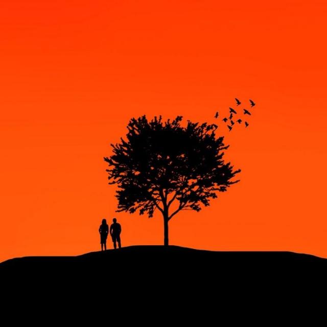 ناول نگار  "Males"