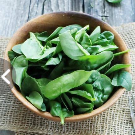 Nutraceutical globe trade