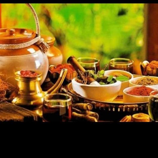හර්බර්ලයින් ආයුරුවේද