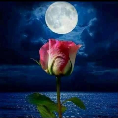 ආතල් කොම්ලො කෙම්ලො